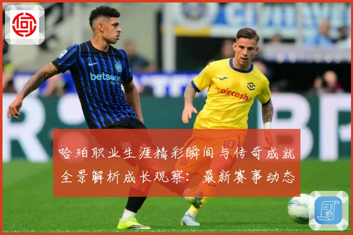 哈珀职业生涯精彩瞬间与传奇成就全景解析成长观察：最新赛事动态与深度分析